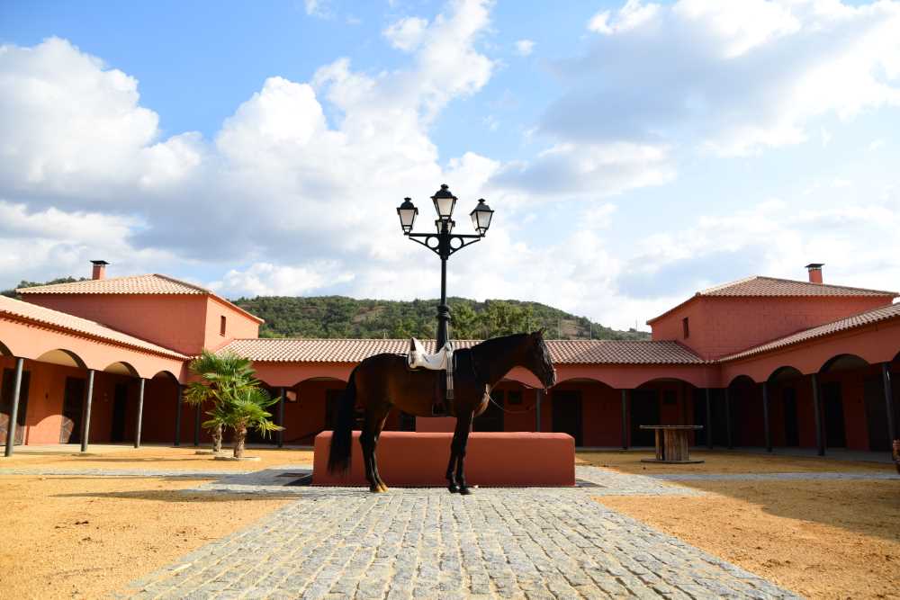 casarte rodeado de naturaleza